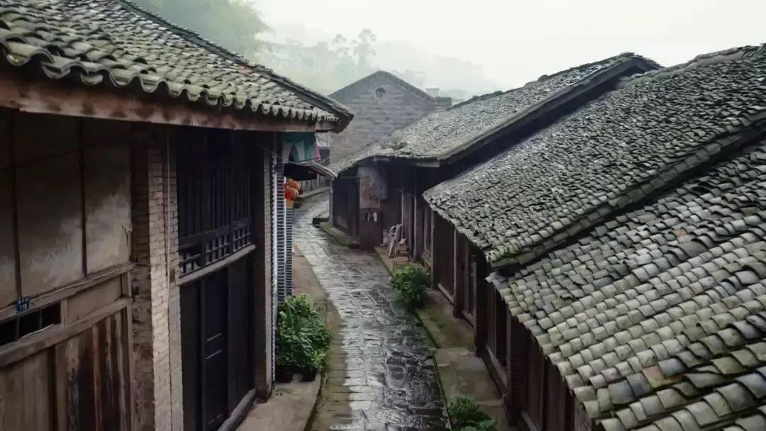 极速问答-大学生想健身没钱买蛋白粉,有哪些东西是可以代替的吗?有问必答平台
